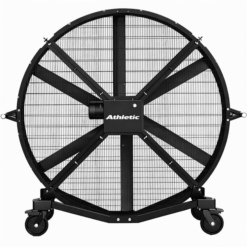 PROFESSIONAL GYM FAN (220V)